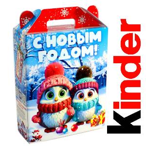 Детский подарок на Новый Год в жестяной упаковке весом 830 грамм по цене 3297 руб в Пензе